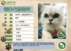 389号——凉粉（喵星人）已被领养