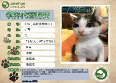 424号---小寿（喵星人）已领养