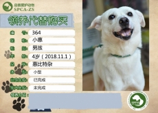 364号——小惠（汪）隔离中......