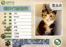 295——怎么办（喵星人）