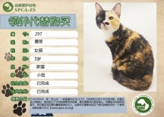 297号——墨笙（喵星人）待领养