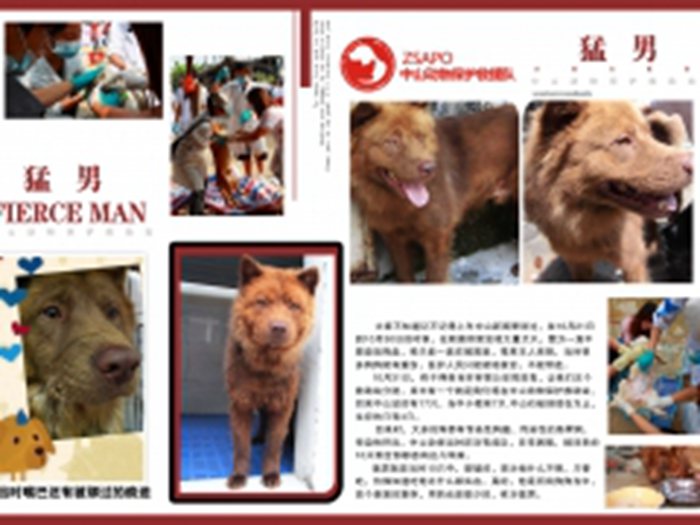 << ZSAPO>>07-24 第一辑 猛男 ★★★★★
