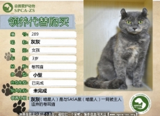 289 ——阿娇（喵星人）生活明信片