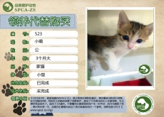 523号——小萌（喵星人）已被领养
