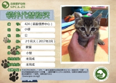 423号---小禄（喵星人）已被领养