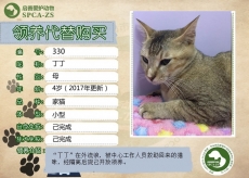 330号——丁丁（喵星人）